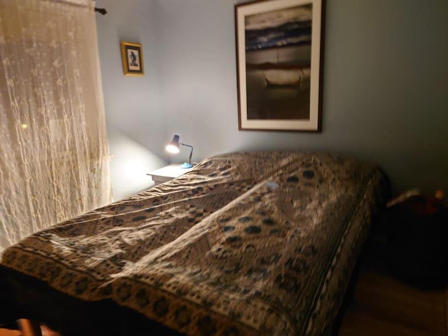 Joey'S Apartment Skjervoy ภายนอก รูปภาพ