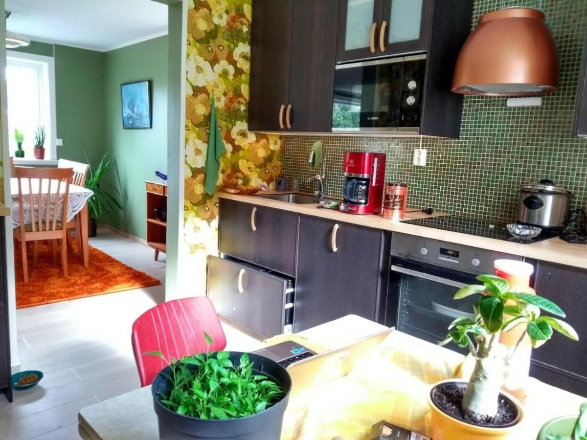 Joey'S Apartment Skjervoy ภายนอก รูปภาพ